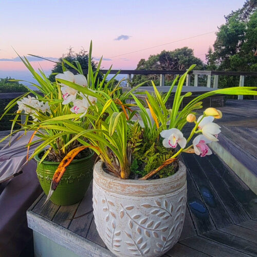 Send your best photos from Maui County to mauiphotos@mauinews.com for a chance to see them featured on our website and in our weekly print edition.  